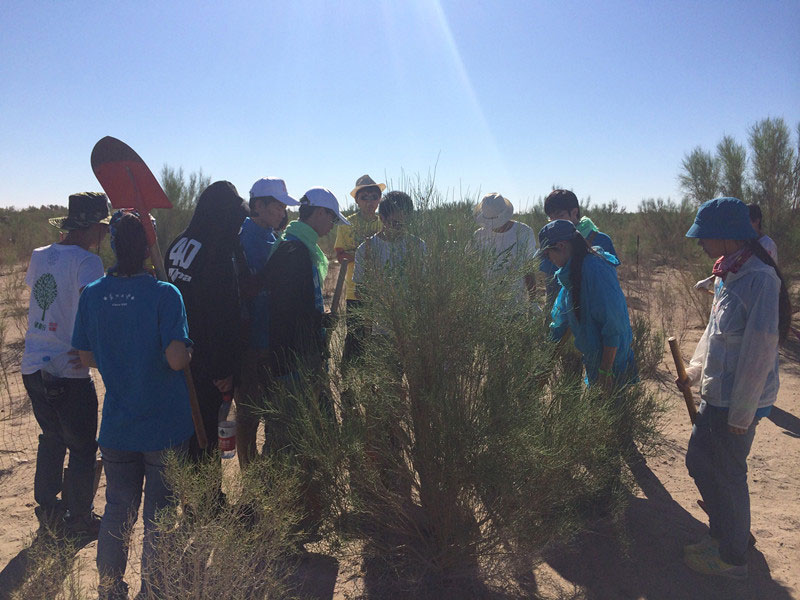 ������Ҫ��һ���ļ��ɺͽ�(j��ng)򞣬ͬ�W(xu��)���_ʼ������һƬ�����ַ��ز����^�m(x��)�����[�ص�����