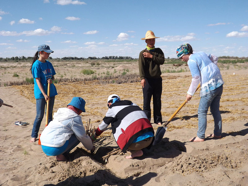 �@�N1.5��Ҋ�������ݸ�������ɳЧ����á����^4��5���͕�(hu��)�L(f��ng)�g��������Ҫ�����a(b��)����