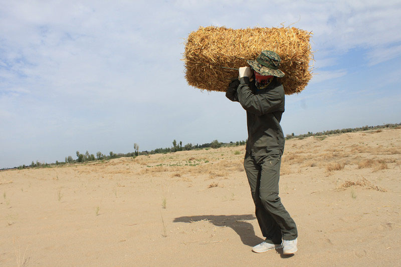 �F�T���i�������ݣ����ϳ����������������؟(z��)�Ρ�